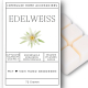 Interluxe Duftwachs 3er Sparset - Wald & Wiese mit Cypres&Pine, Edelweiss und Eucalyp