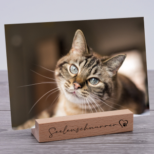 Interluxe Kartenhalter - Seelenschnurrer