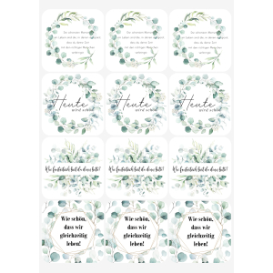 12 Stück Untersetzer für Gläser - Eukalyptus