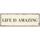 METALLSCHILD Shabby Vintage Blechschild LIFE IS AMAZING Zitat Spruch Weisheit