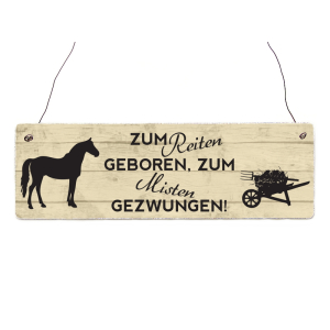 INTERLUXE Holzschild ZUM REITEN GEBOREN Deko Vintage...
