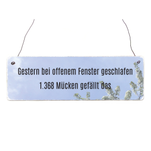 INTERLUXE Holzschild GESTERN BEI OFFENEM FENSTER Spruch...